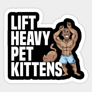 Lift Heavy Pet Kittens Weight Lifter Funny Gym Workout Sticker